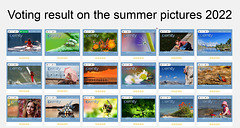 Polling on Summer Pictures 2022 - result