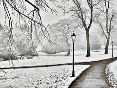 Museum Gardens, York  - In Winter
