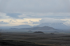mit Aussicht auf die Herðubreið - zwischen Egilsstaðir und Reykjahlíð  (© Buelipix)