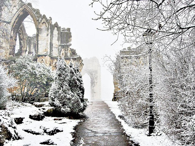 St. Mary's Abbey Ruin - In Winter
