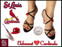 Sara's beloved cardinals