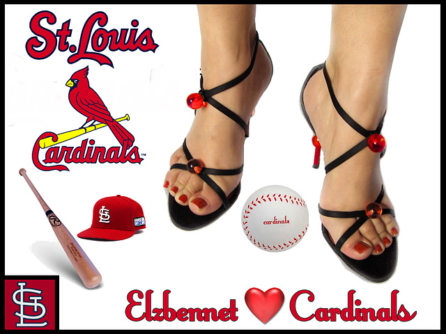 Sara's beloved cardinals