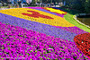 Epcot Flower Festival 030616-001