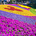 Epcot Flower Festival 030616-001