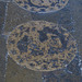 canterbury cathedral  pavement of trinity chapel c.1220