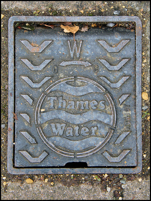 Thames Water manhole cover