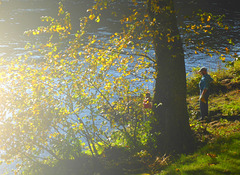 Herbst im Elbtal - aŭtuno en la Elbvalo