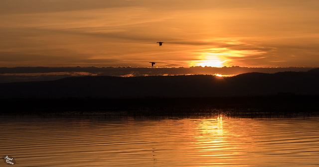 Pictures for Pam, Day 172: Sunrise on Upper Klamath Lake