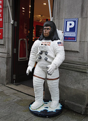 NASA ape.