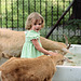 With the goats at London Zoo, May 1980