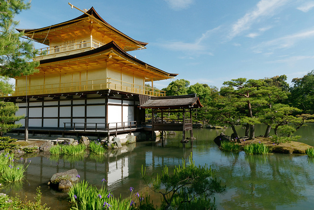 Temple Kinkaku-ji (金閣寺) (le Pavillon d'or) (7)