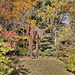 "Southern Star" – Grounds for Sculpture, Hamilton Township, Trenton, New Jersey