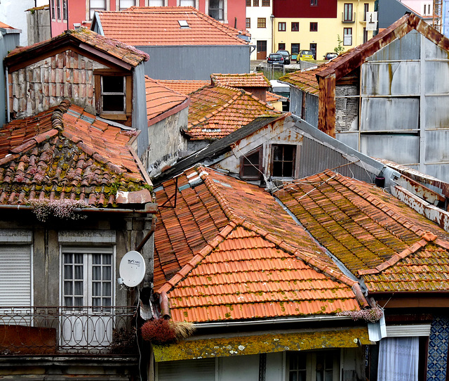 Porto- Rooftops