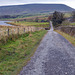 HFF: The road to Pendle Hill.