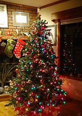 The Christmas Tree Dec 2015