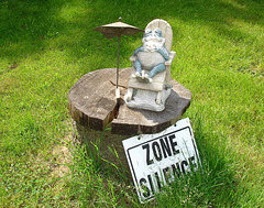 Zone Silence