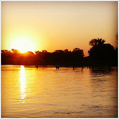 Sunrise over the Okavango Delta.