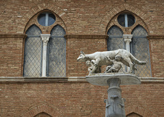 Capitoline Wolf at Siena Duomo