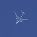 China Southern Airlines Boeing 787-8 Dreamliner