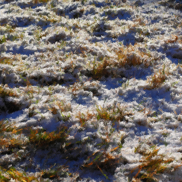 Snow and Grass