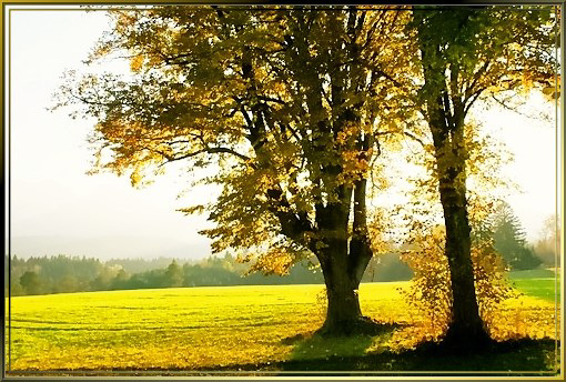 Herbstliches Allgäu. ©UdoSm