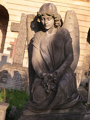 brompton cemetery, london,early c20 angel on tomb