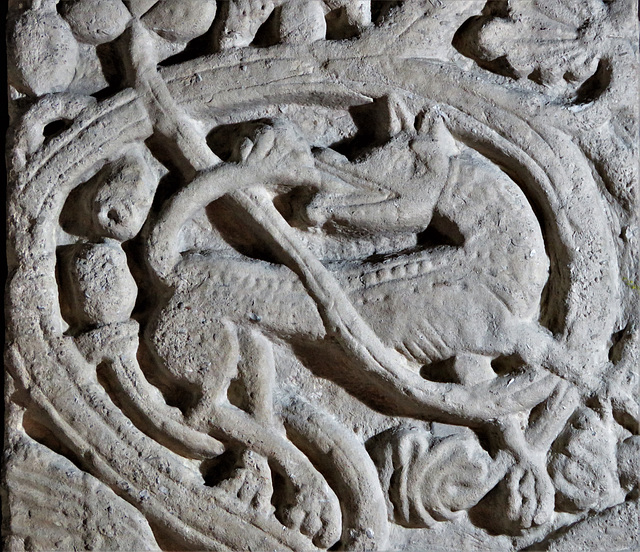 st peter's church, northampton, northants (56)wolf? on c12 tomb slab