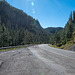 The road to Valles caldera2
