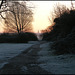 frosty path to the dawn