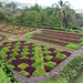 Weltbekannter Garten auf Madeira, der Botanische Garten in Funchal