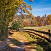 Der Herbstweg ++ the autumn way