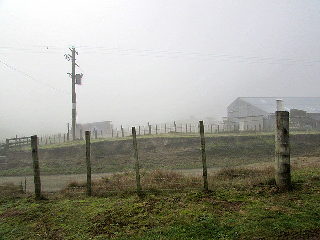 Fences in the Fog.