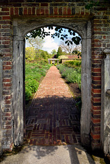 Walled Garden ~ Barrington Court.