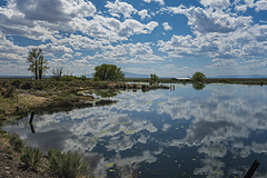 Roaring Springs Ranch and lake, Catlow Valley, B0005469