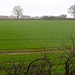 Very wet, windy and cold Gnosall fields