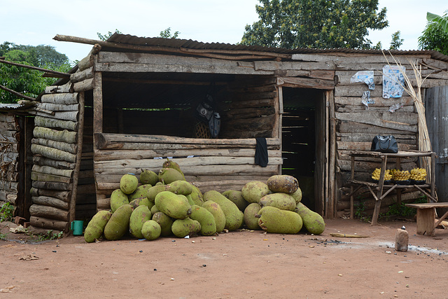 Uganda, Jackfruits for Sale