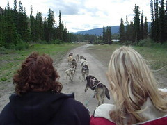 This was one of our Alaskan highlights. So much fun.