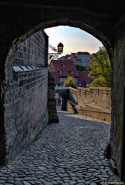 Quedlinburg: Blick aus dem Schloss zum Münzenberg