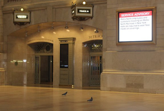 Img 2397GrandCentral002