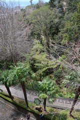 The Tropical Gardens at Monte