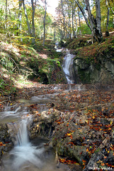 Sipote waterfall