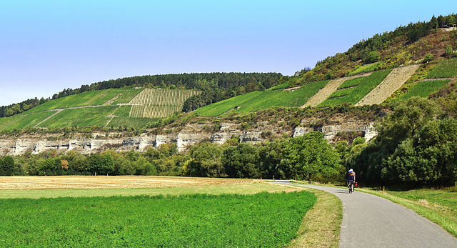 Mächtige Muschelkalkbastionen im Maintal - Impressive shell limestone bastions in the river Main valley