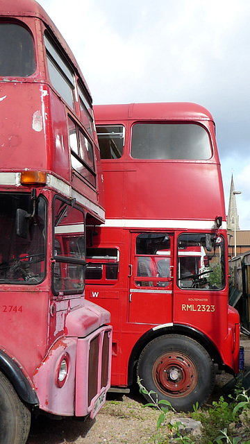 Red Routemaster Buses (7) - 12 September 2020