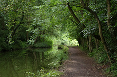 The Macclesfield Canal, Poynton to Bollington