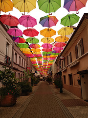 parapluies toit rue