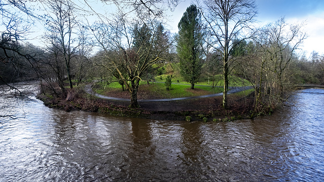 Arboretum, River Kelvin, Glasgow