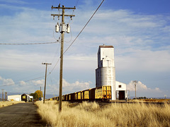 Railroad landscape