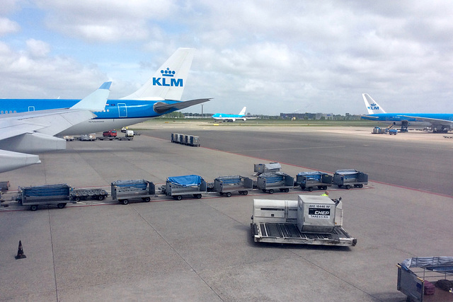 Surrounded by KLM