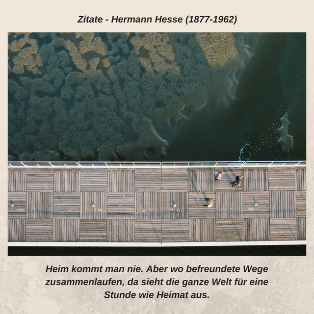 Zitat - Hermann Hesse