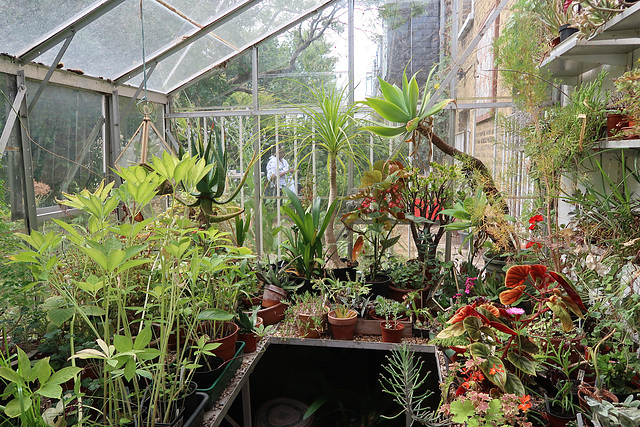 The conservatory